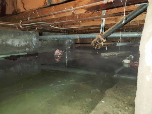 Best Fire Damage Restoration  in Dixon, KY