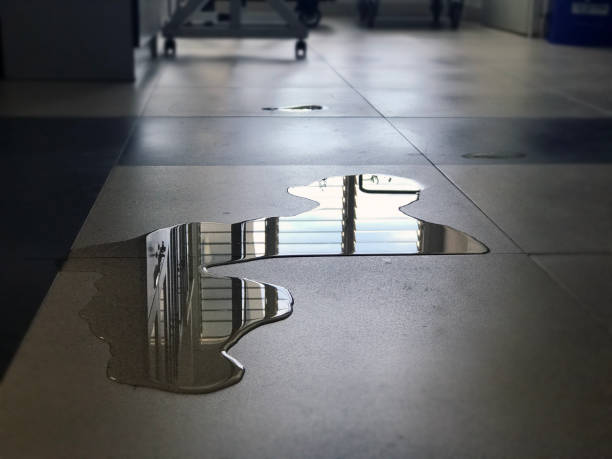 Best Water damage repair service  in Dixon, KY