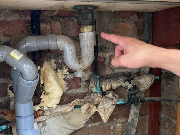 Carpet water damage restoration in Dixon, KY