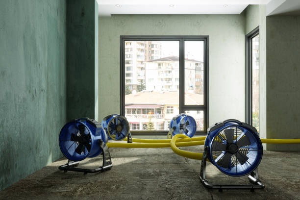 Best Water damage restoration near me  in Dixon, KY